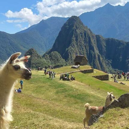 Machu Picchu Full day en tren turístico